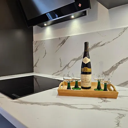 Apartament Les Cigogneaux-colmar-t2- Paisible- Garage Prive